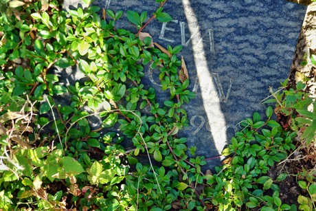westfriedhof
