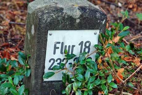 westfriedhof