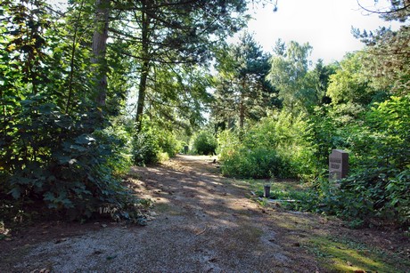 westfriedhof