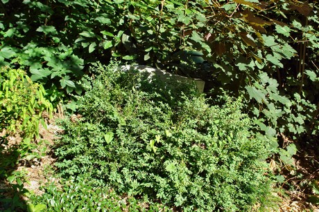 westfriedhof