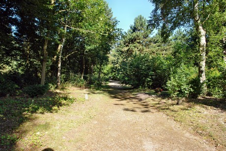 westfriedhof