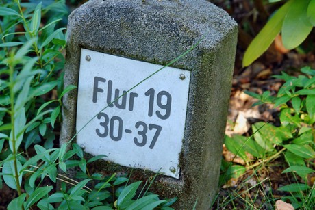 westfriedhof