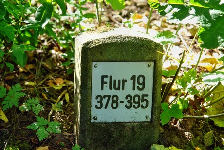 westfriedhof
