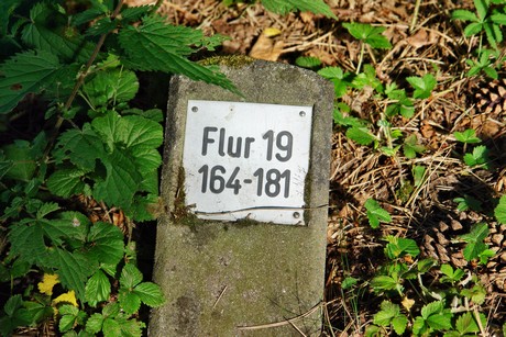 westfriedhof