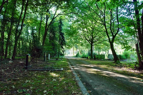 westfriedhof
