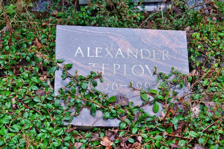 friedhof