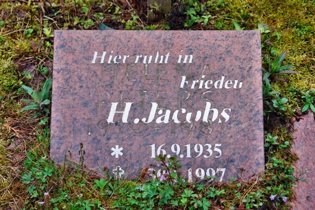 friedhof