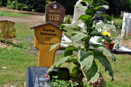 westfriedhof