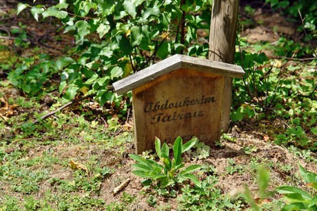 westfriedhof