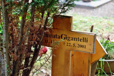 westfriedhof