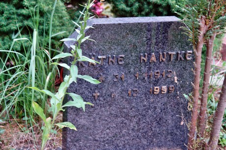 westfriedhof