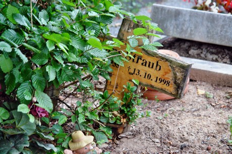 westfriedhof