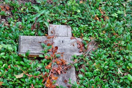 westfriedhof