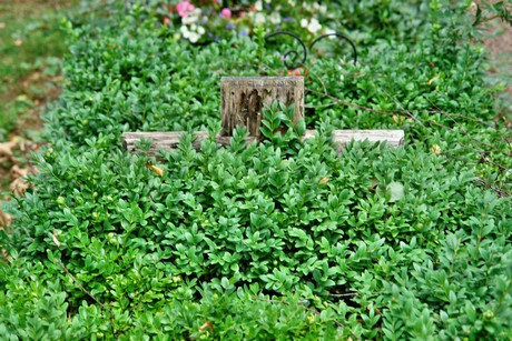 westfriedhof