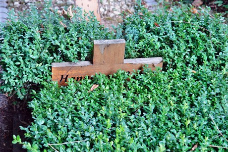 westfriedhof