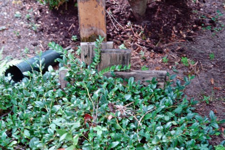 westfriedhof
