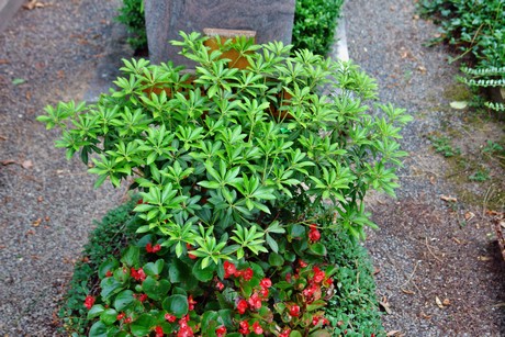 westfriedhof