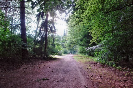 westfriedhof