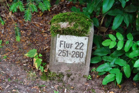 westfriedhof
