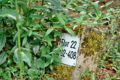 westfriedhof