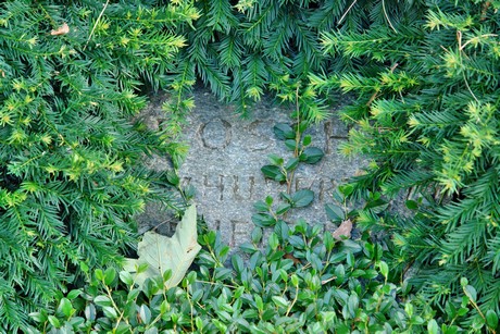 westfriedhof