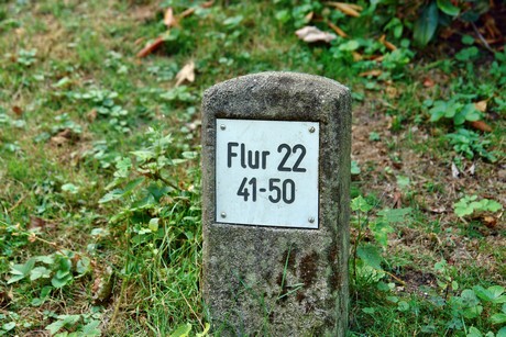 westfriedhof
