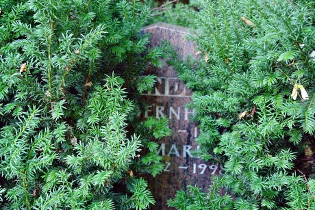 westfriedhof