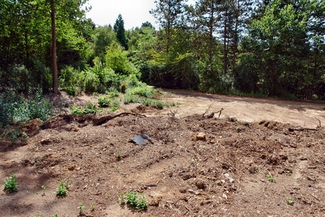 westfriedhof