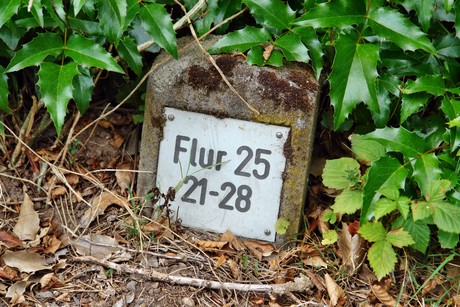 westfriedhof