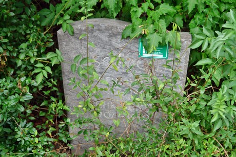 westfriedhof