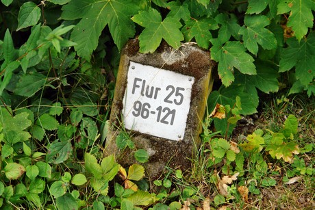 westfriedhof