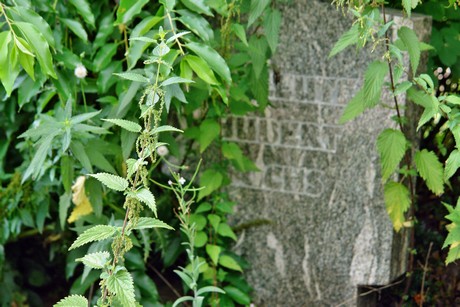 westfriedhof