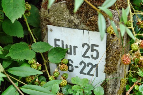 westfriedhof