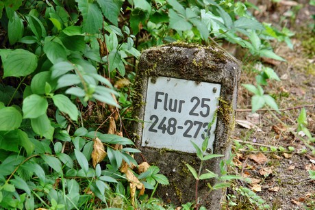 westfriedhof