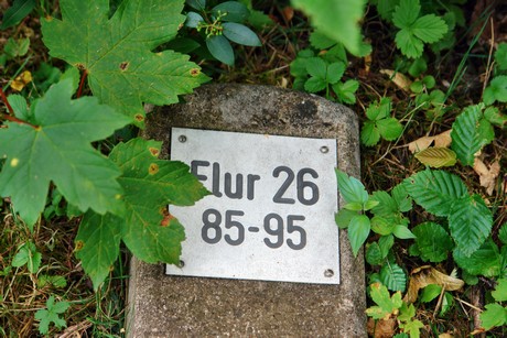 westfriedhof