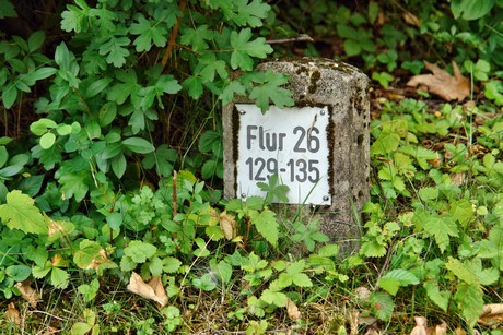 westfriedhof