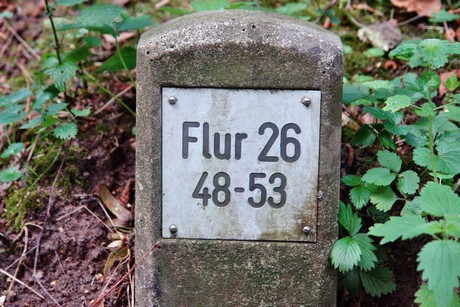 westfriedhof