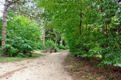 westfriedhof