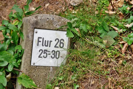westfriedhof