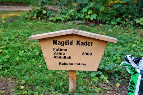 friedhof