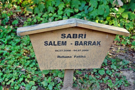 friedhof