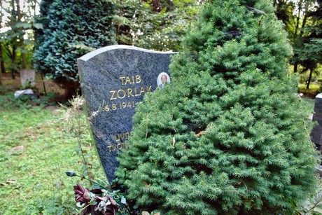 friedhof