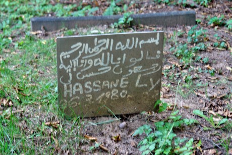 friedhof