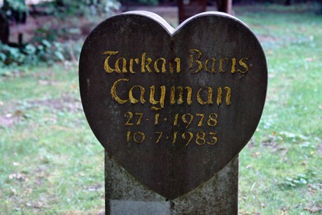 friedhof