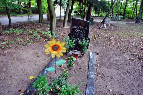 friedhof