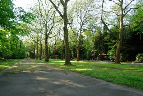 westfriedhof