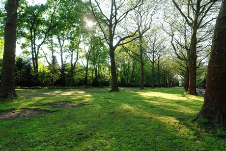 westfriedhof