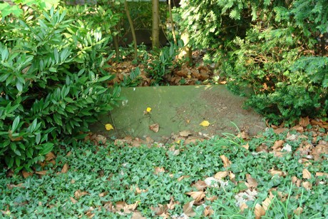 westfriedhof