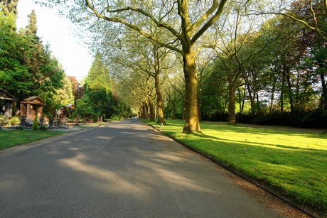 westfriedhof