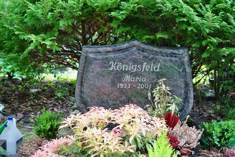 westfriedhof
